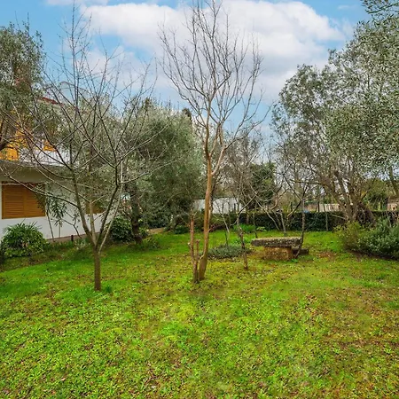 2 Bedroom Beautiful In *